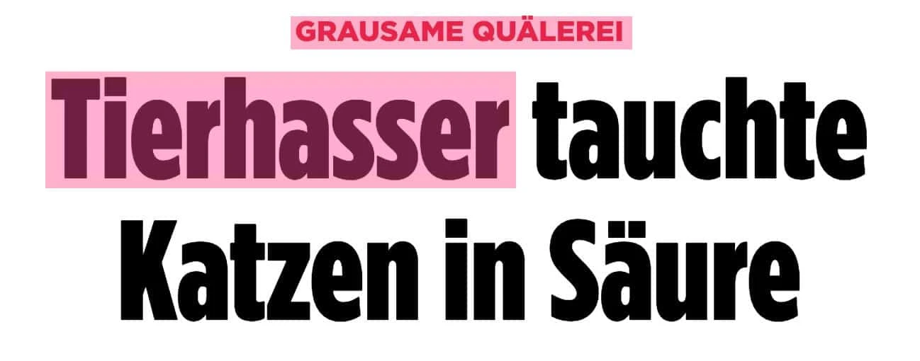 Artikel bei Bild.de: Grausame Quälerei - Tierhasser tauchte Katzen in Säure