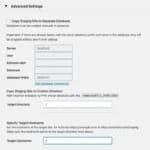 WP Staging Pro bietet dir zahlreiche erweiterte Einstellungen