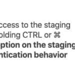 Lege mit WP Staging Pro fest, wer auf deine Staging-Umgebung zugreifen darf und wer nicht.