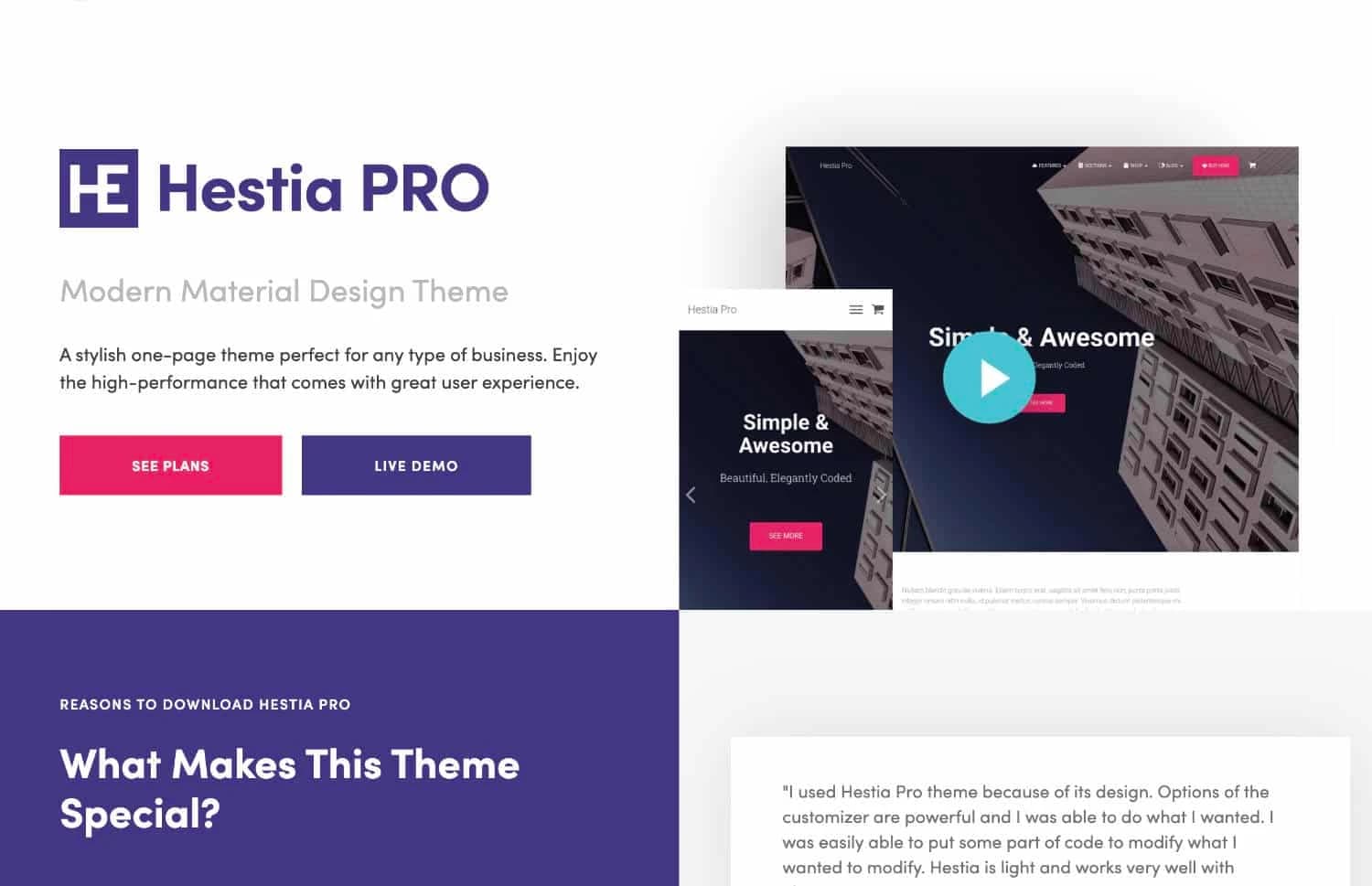 Hestia Theme mit buntem Layout