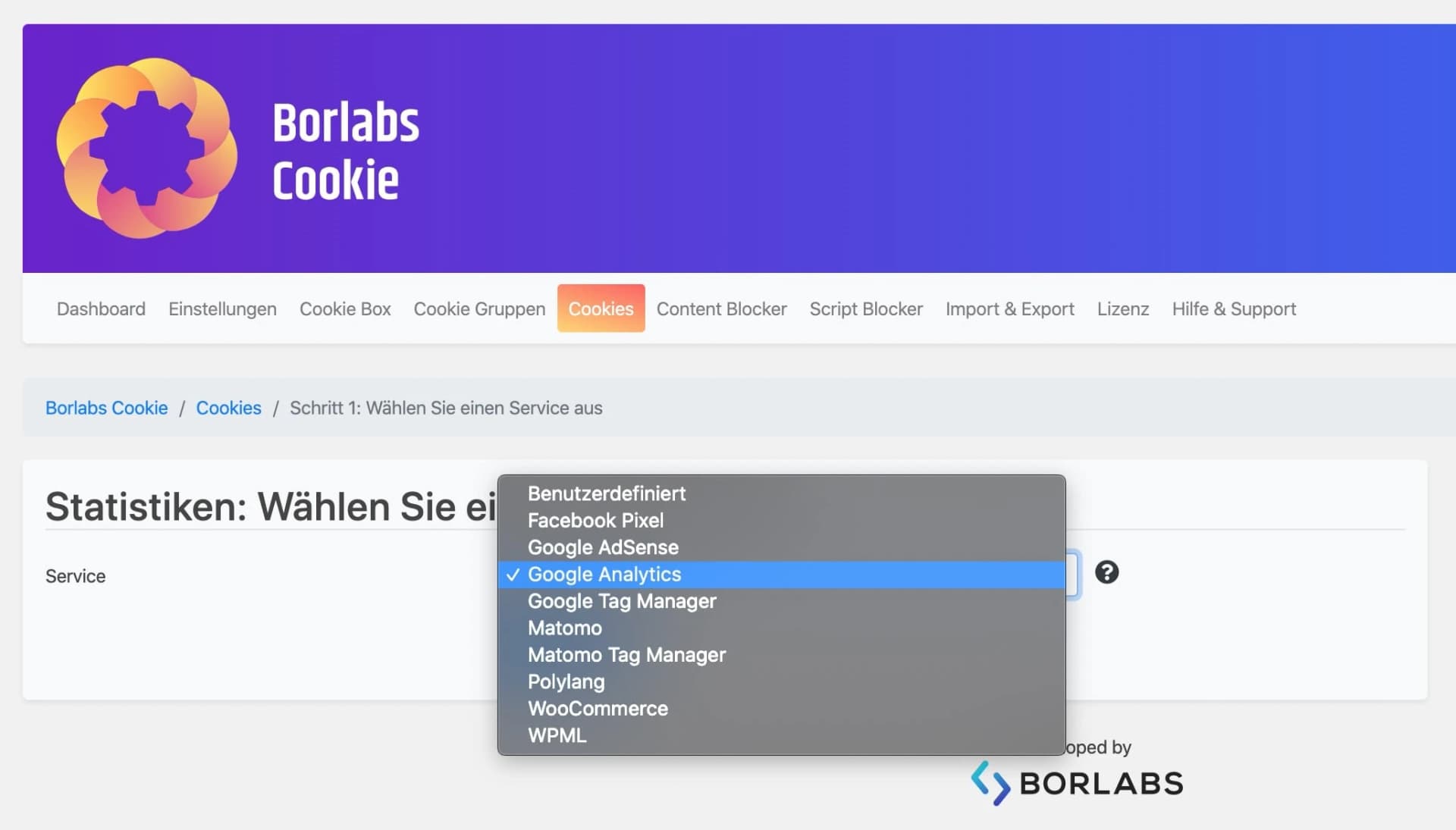 Google Analytics lässt sich einfach in Borlabs Cookie einbinden