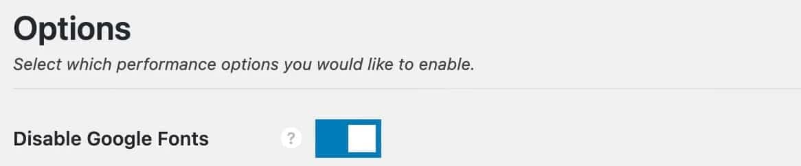 Google Fonts mit perfmatters deaktivieren