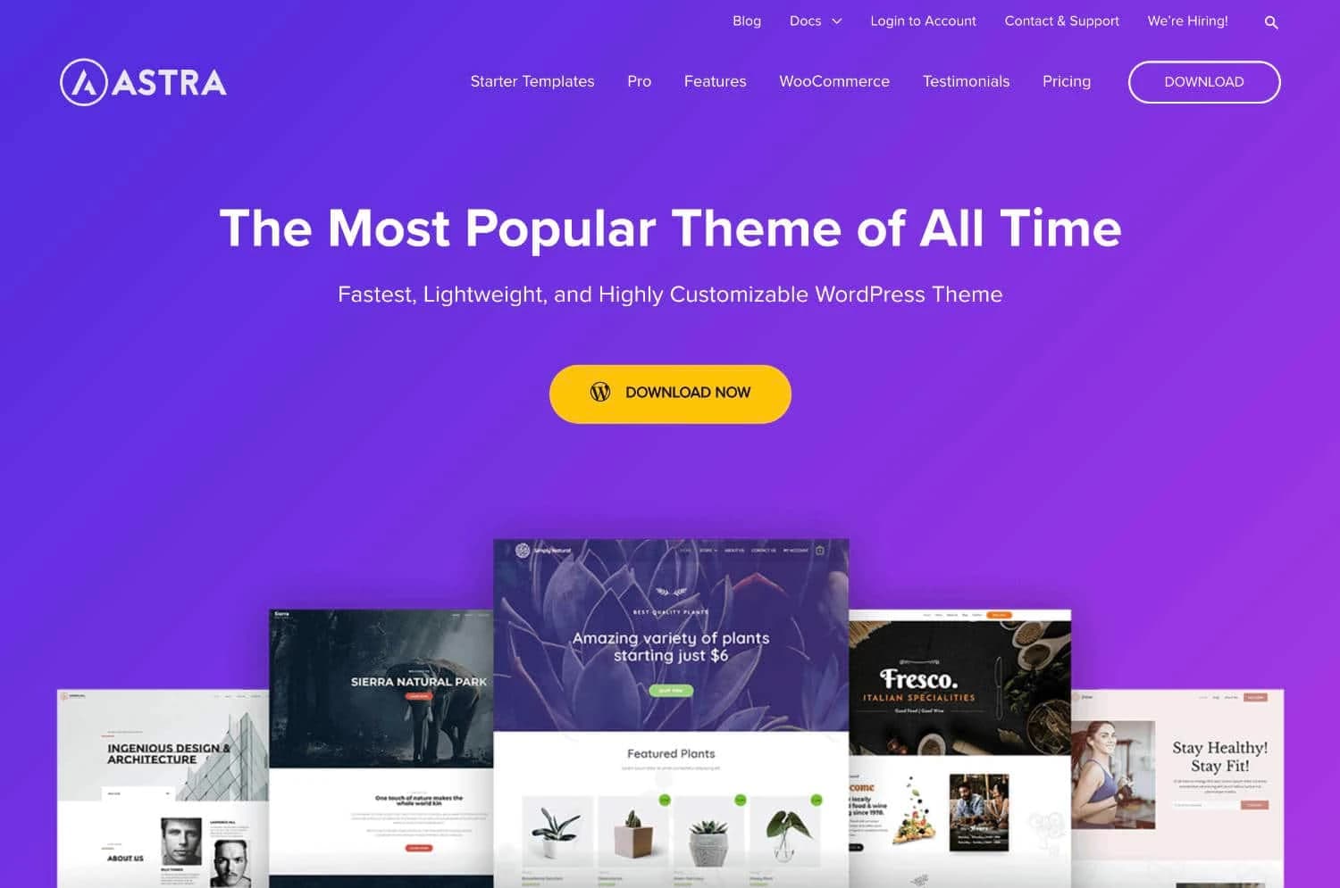 Das Astra Theme entfaltet vor allem in Verbindung mit Elementor seine ganze Stärke.