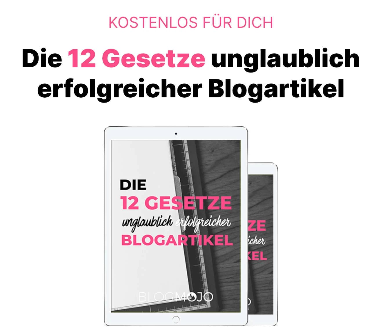 Lead Magnet Blogmojo