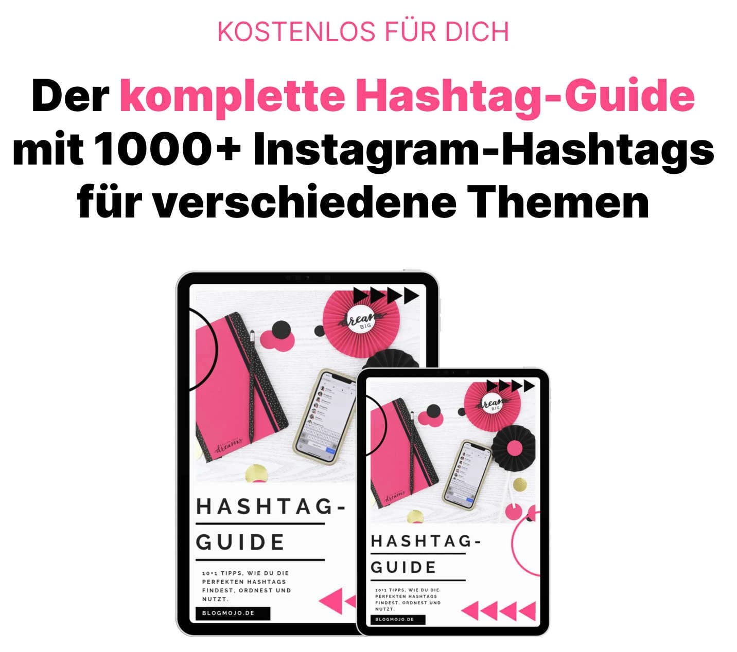 Lead Magnet Newsletter