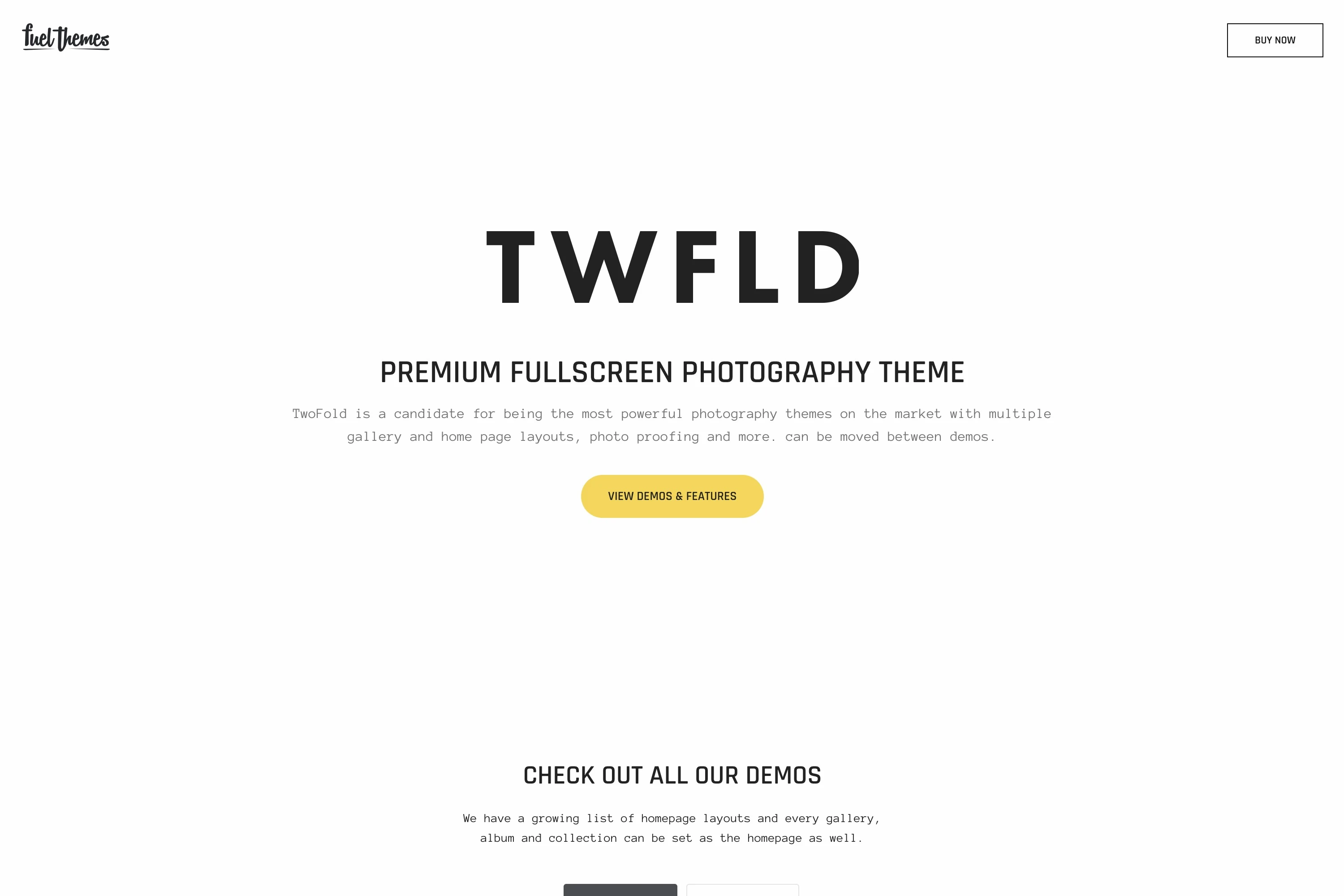 TwoFold Theme
