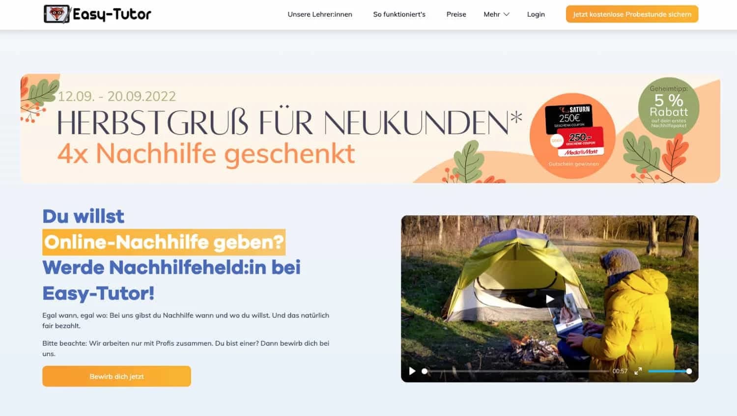 Online-Nachhilfe geben