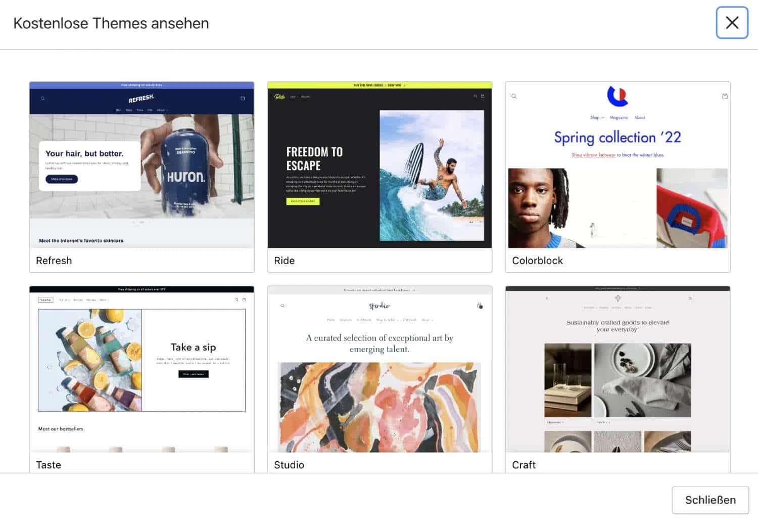 Shopify Theme finden