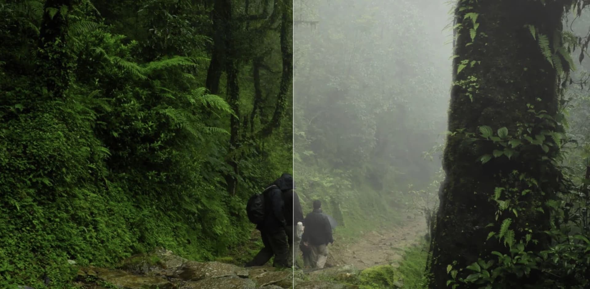 Luminar Neo: Nebel mit KI zu einem Foto ergänzen