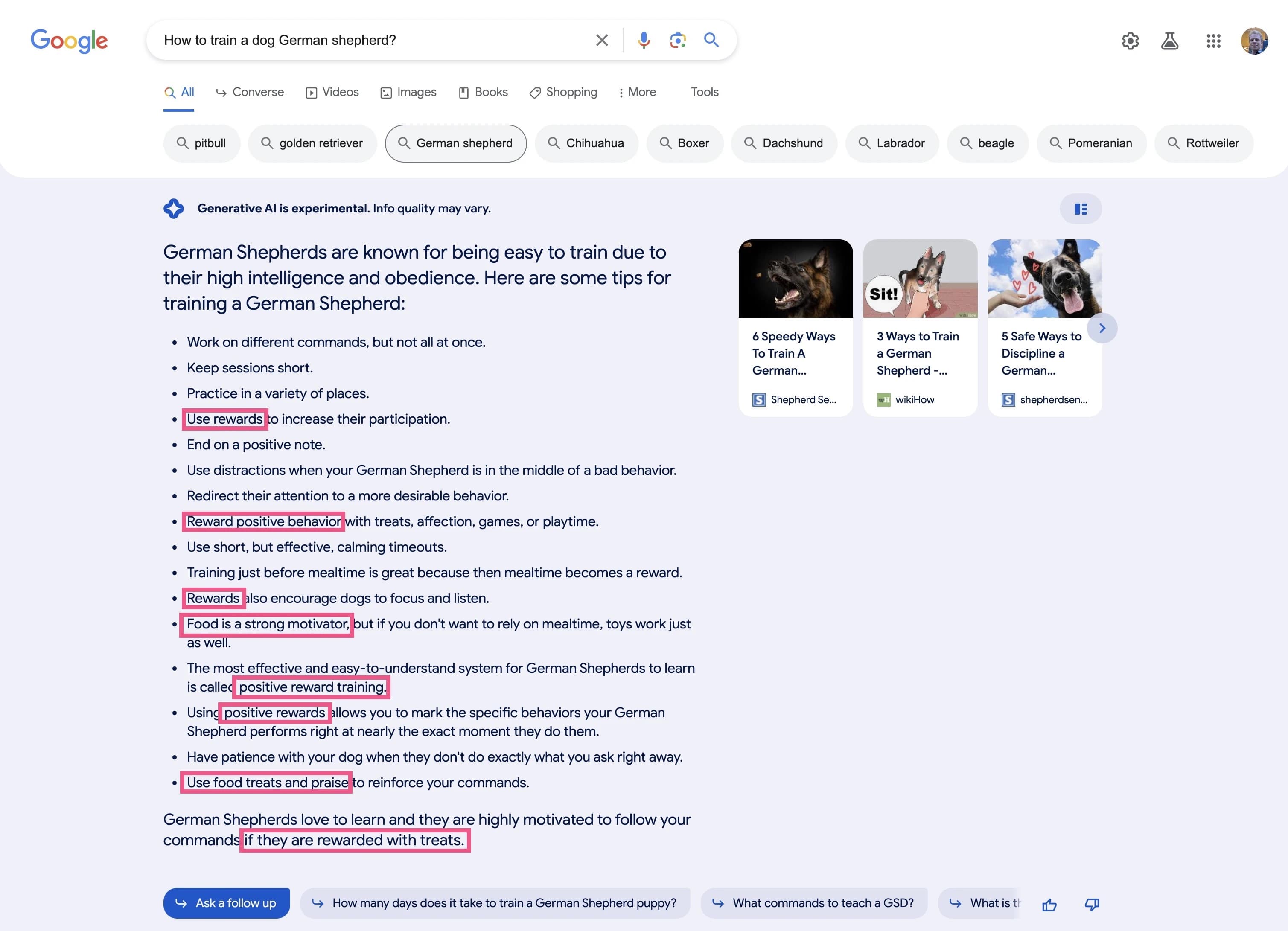 Beispiel für viel zu lange Antwort und Wiederholungen in der SGE