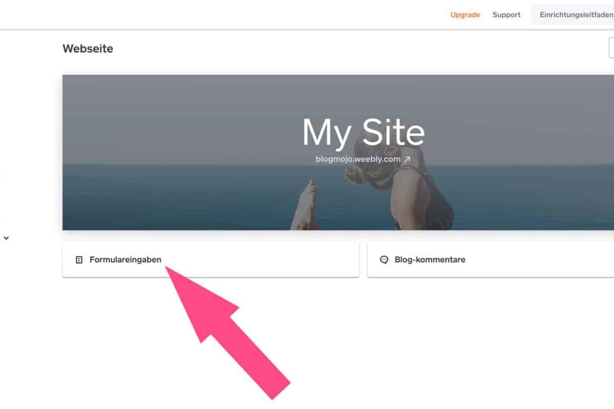 Alle Zusendungen über deine Formulare werden direkt im Dashboard angezeigt