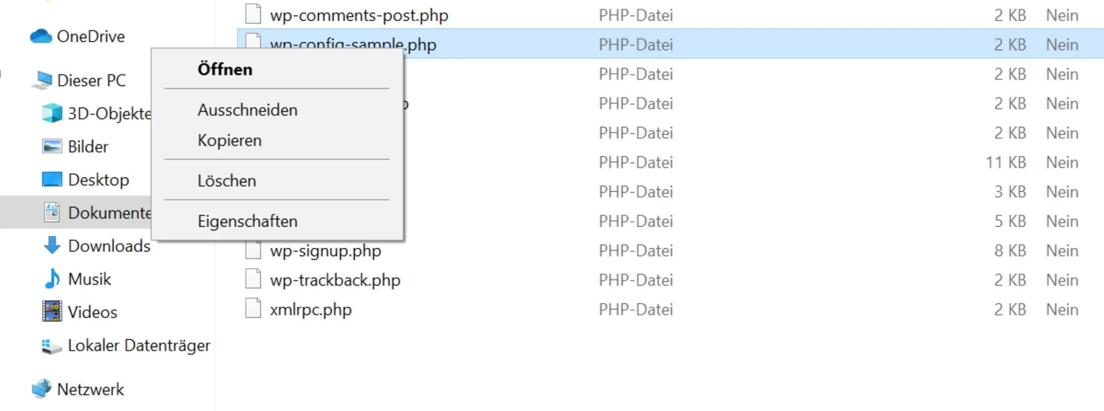wp-config-sample.php lässt sich nicht umbenennen