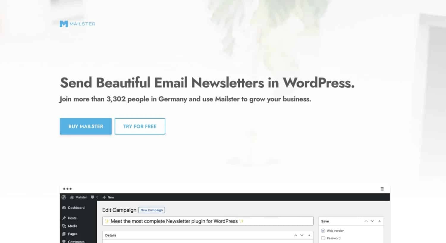 Mailster ist ein schlankes aber leistungsfähiges E-Mail-Marketing-Plugin.