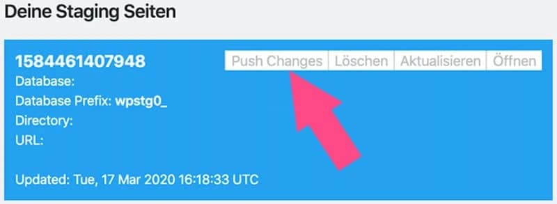 Mit der Funktion Push Changes veröffentlichst du die Staging Version deiner Website
