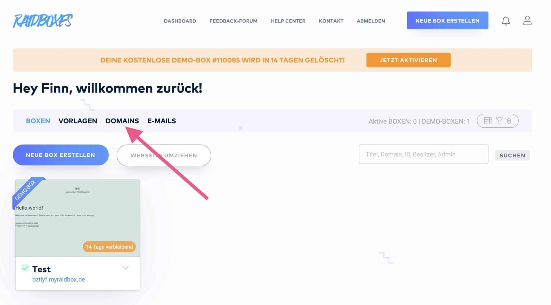 Domains im RAIDBOXES-Dashboard