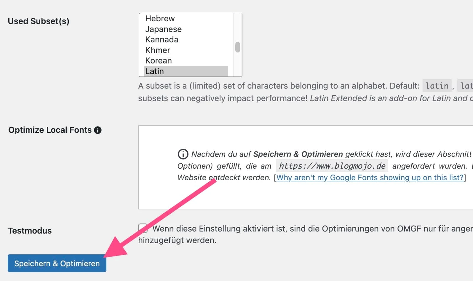 Mit OMGF Google Fonts erkennen und lokal einbinden