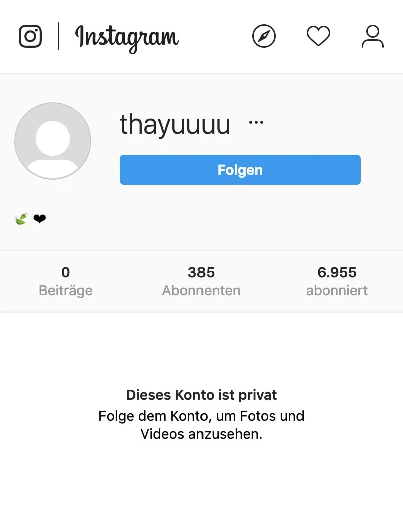 Fake-Follower bei Instagram (niedrigste Qualitätsstufe)