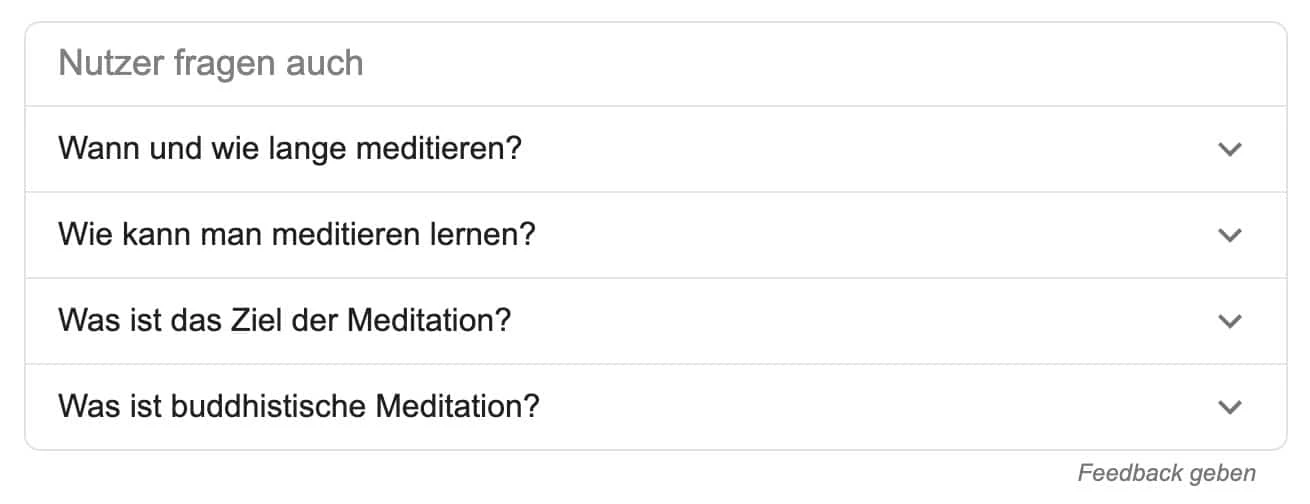 Google SERP-Feature: Nutzer fragen auch