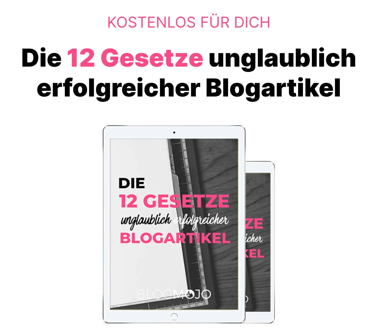Lead Magnet Blogmojo