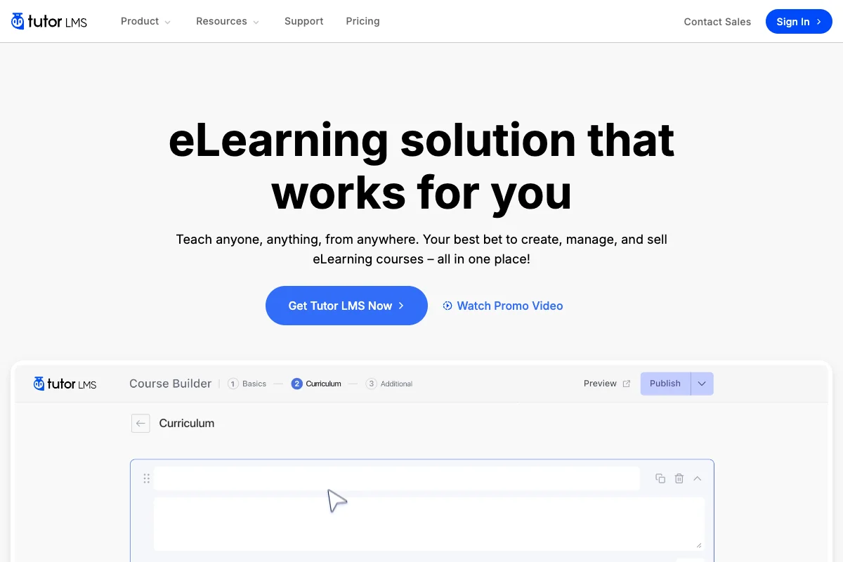 Online-Tutor