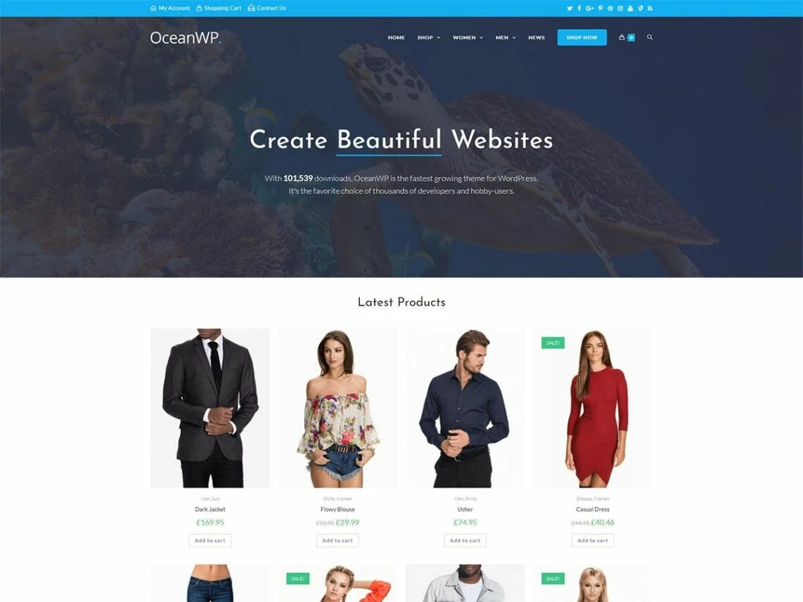 OceanWP WordPress Theme-Framework