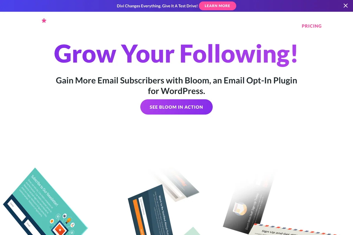Bloom ist ein Newsletter-Tool aus dem Hause Elegant Themes mit zahlreichen Funktionen.