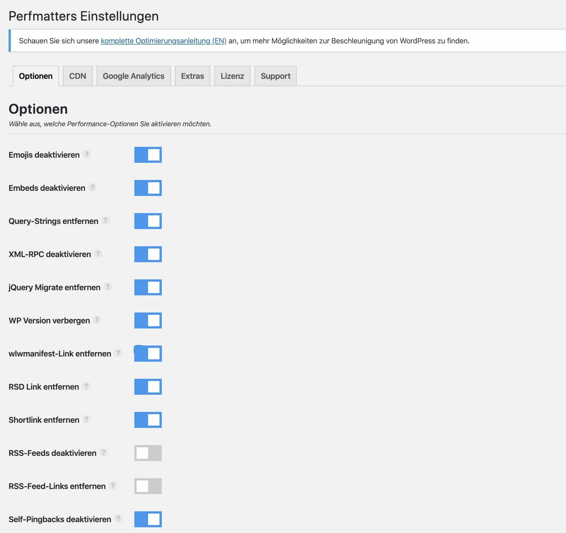 perfmatters Einstellungen