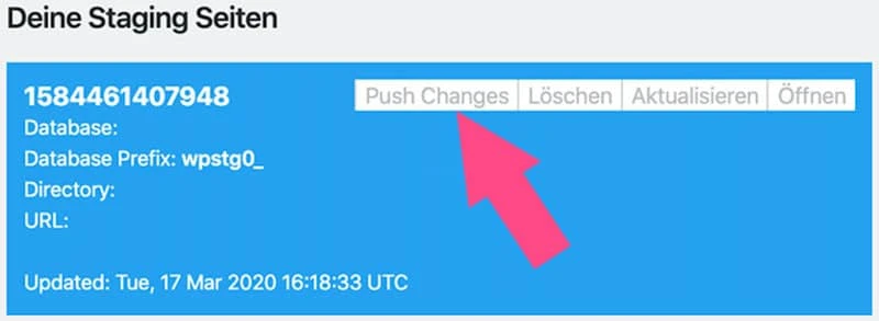 Mit der Funktion Push Changes veröffentlichst du die Staging Version deiner Website