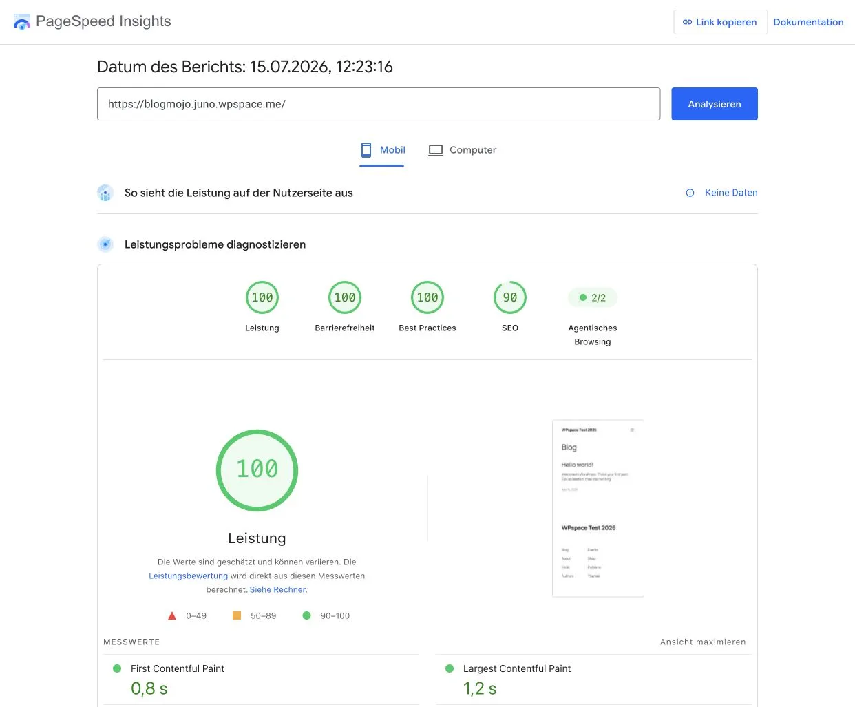 Aktueller mobiler PageSpeed-Test der WPspace-Testseite mit 100 Punkten