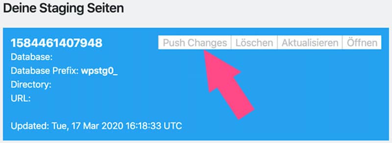 Mit der Funktion "Push Changes" veröffentlichst du die Staging Version deiner Website