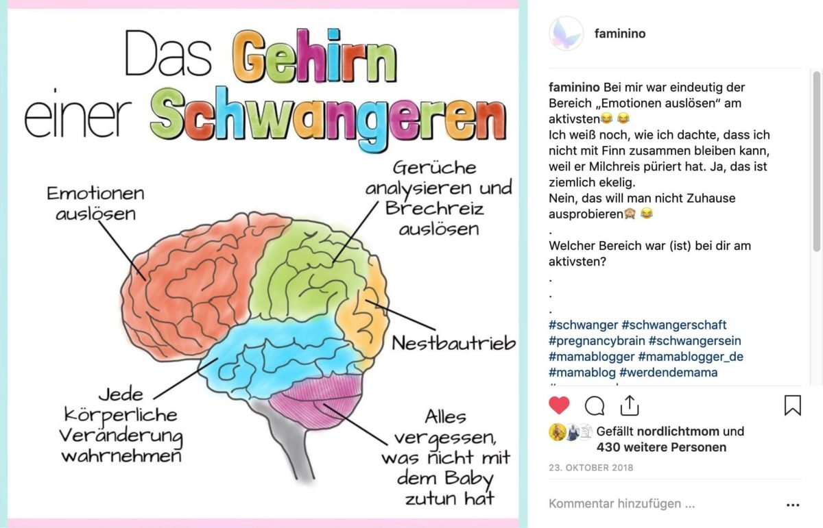 Le cerveau d'une femme enceinte: un exemple d'image Instagram avec beaucoup de texte