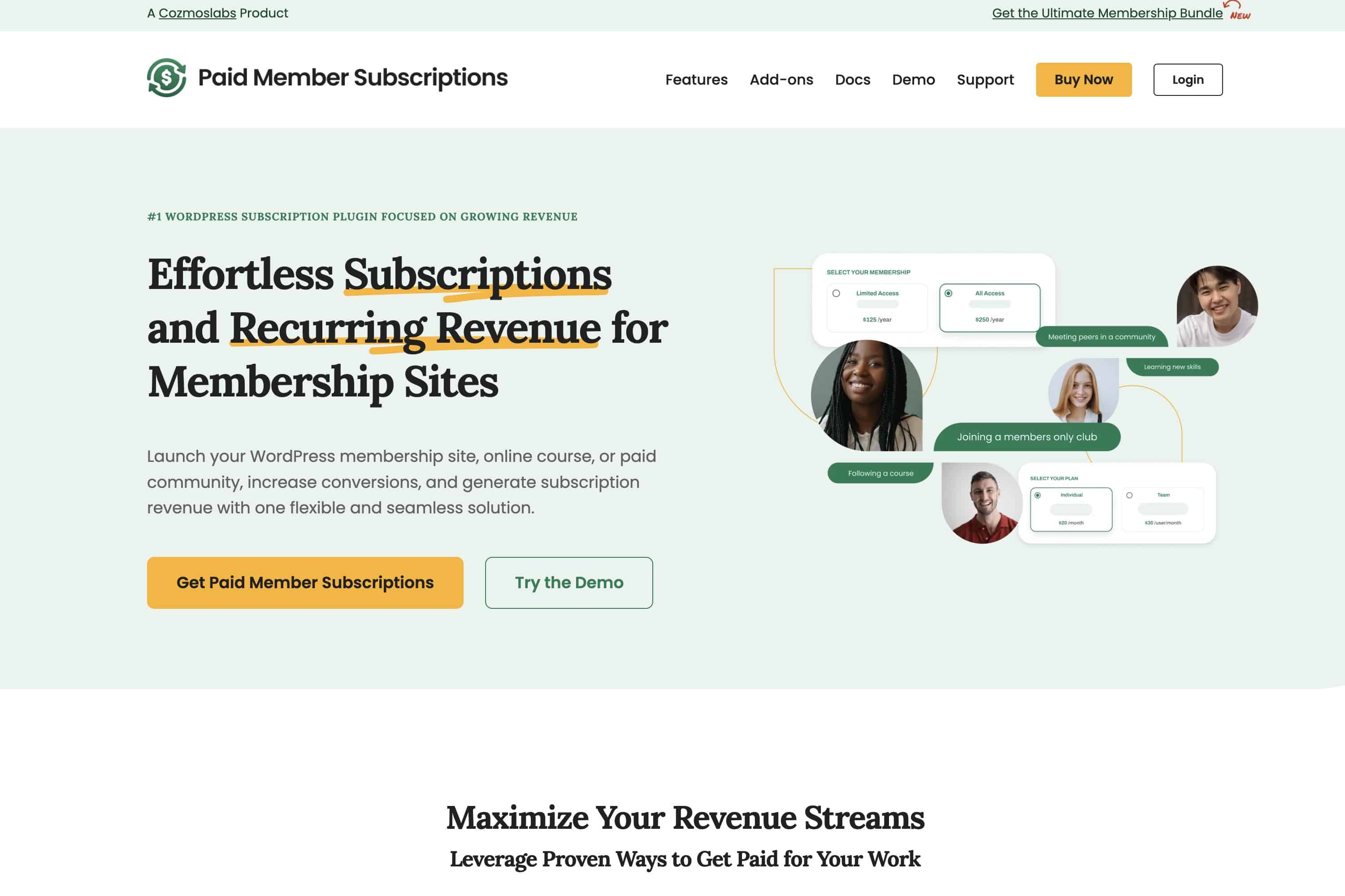 Paid Member Subscriptions