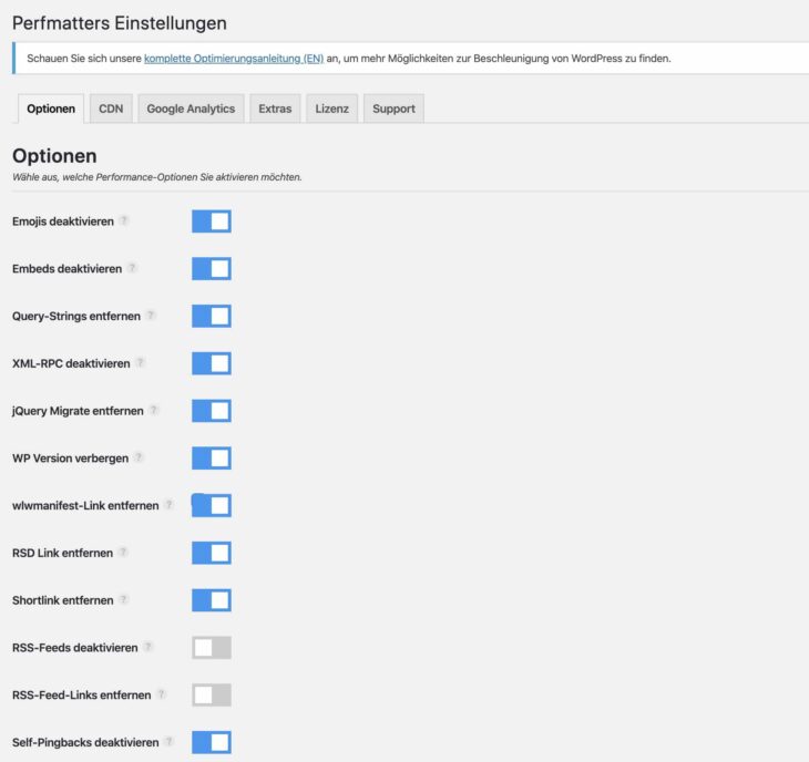 perfmatters Einstellungen