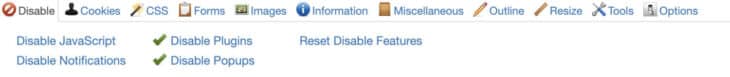 Web Developer